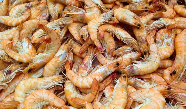 México cierra importación temporal de camarones de cinco países centroamericanos