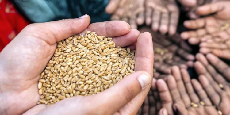 Programa Mundial de Alimentos requiere $32 millones para atender la emergencia en Guatemala y El Salvador