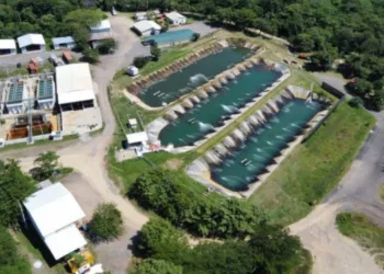 Guatemala aclara que revisa el cuestionado proyecto de la mina Cerro Blanco