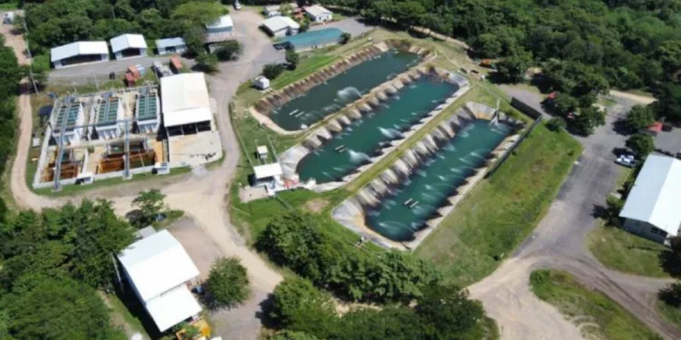 Guatemala aclara que revisa el cuestionado proyecto de la mina Cerro Blanco