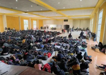 Autoridades mexicanas liberan a 726 migrantes centroamericanos secuestrados