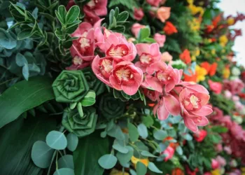 Guatemala promueve su oferta de plantas ornamentales en EEUU