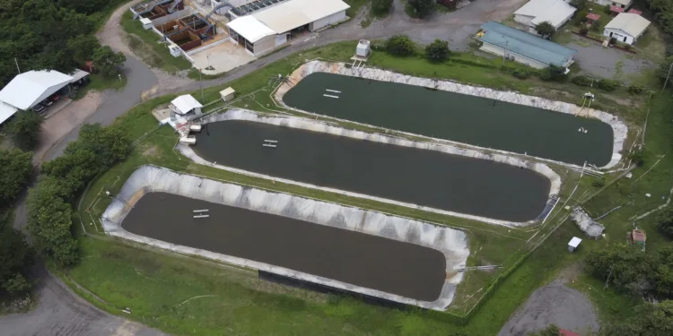 Gobierno guatemalteco dice que mina Cerro Blanco no está operando