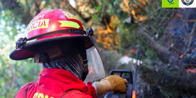 Al menos 675 personas combaten incendio forestal en Guatemala