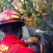 Al menos 675 personas combaten incendio forestal en Guatemala