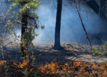 El cambio climático en América Latina quema montes, arrasa litorales y viola los derechos humanos