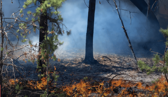 El cambio climático en América Latina quema montes, arrasa litorales y viola los derechos humanos