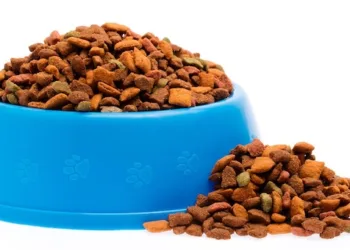 La compra de comida para mascotas creció un 3.7 % en Centroamérica en 2023