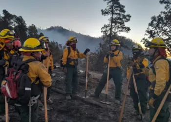 Fuego avanza en Volcán de Agua de Guatemala; gobierno dice que lo ha controlado un 40 %