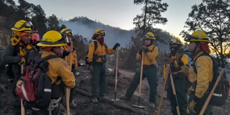 Fuego avanza en Volcán de Agua de Guatemala; gobierno dice que lo ha controlado un 40 %