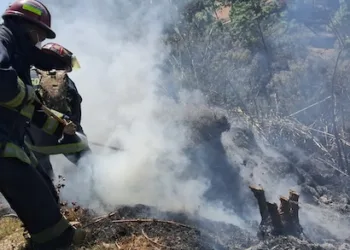 Autoridades combaten más de 30 incendios forestales en Guatemala