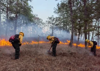 Autoridades reportan 15 incendios forestales en Guatemala