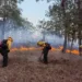 Autoridades reportan 15 incendios forestales en Guatemala