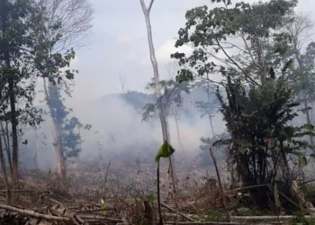 Fondo Verde para el Clima cancela financiamiento al régimen de Nicaragua