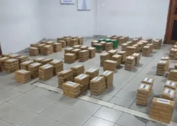 Decomisan en Panamá media tonelada de droga proveniente de Honduras