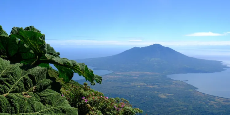 Régimen de Nicaragua exige 116.6 millones de dólares del Fondo Verde de Naciones Unidas