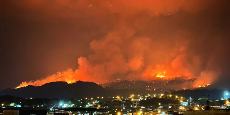 ¡Infierno en Tegucigalpa!: incendio forestal arrasa con bosque La Tigra