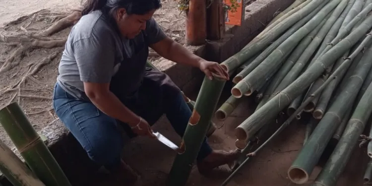 Taiwán fomenta la industrialización del bambú en Guatemala