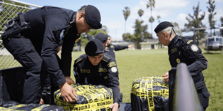 Guatemala ha incautado más de $96 millones en droga en lo que va de 2024
