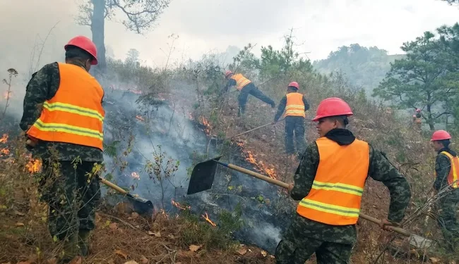 Preocupante incremento de incendios forestales en Honduras