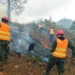 Preocupante incremento de incendios forestales en Honduras