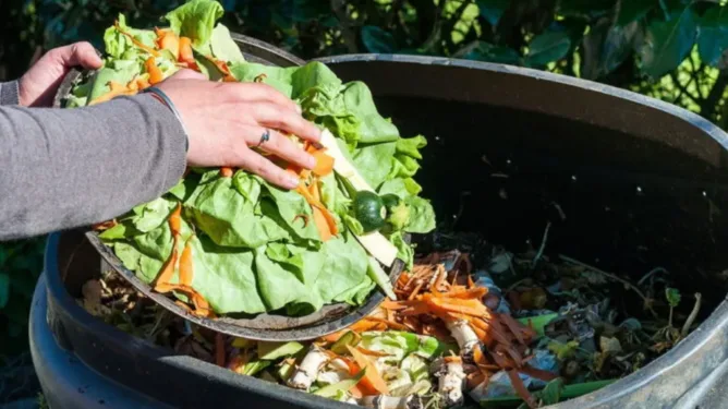 Guatemala es el que más desperdicia alimentos de Centroamérica