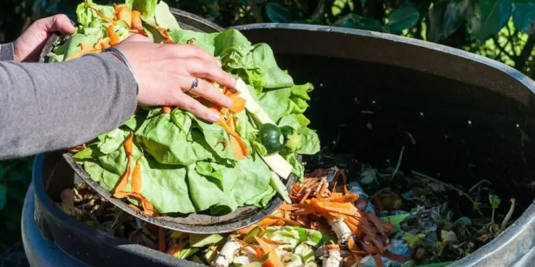 Guatemala es el que más desperdicia alimentos de Centroamérica