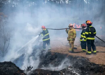 Al menos 1,502 incendios forestales en la actual temporada reportan las autoridades guatemaltecas