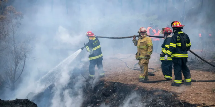 Al menos 1,502 incendios forestales en la actual temporada reportan las autoridades guatemaltecas