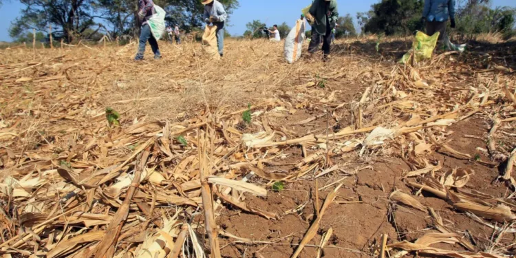 Expectativa en Guatemala y El Salvador ante la llegada “formal” del invierno