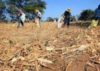 Expectativa en Guatemala y El Salvador ante la llegada “formal” del invierno
