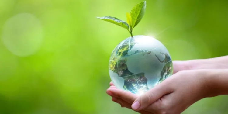 Centroamérica vive un Día de la Tierra entre deforestación y esfuerzos por revertirla