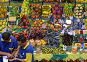 La inacción ante el hambre y la malnutrición cuesta 6.9 % del PIB a Centroamérica