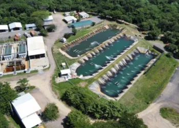 Guatemala busca anular licencia ambiental de mina Cerro Blanco