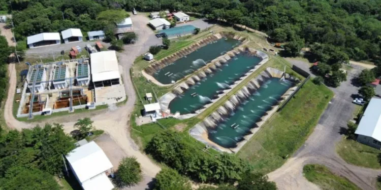 Guatemala busca anular licencia ambiental de mina Cerro Blanco