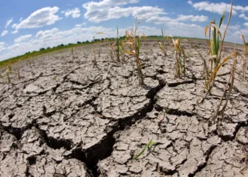 Más de 4.1 millones de centroamericanos requieren asistencia alimentaria por El Niño
