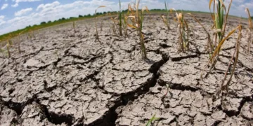 Más de 4.1 millones de centroamericanos requieren asistencia alimentaria por El Niño
