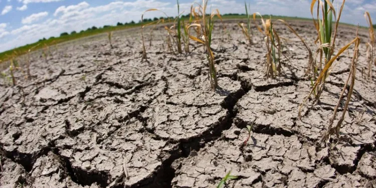 Más de 4.1 millones de centroamericanos requieren asistencia alimentaria por El Niño