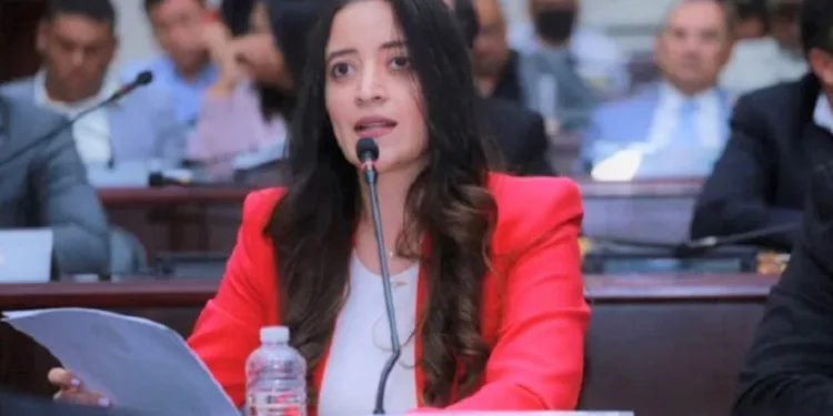 Consejo Anticorrupción de Honduras dice que propuesta oficialista de ley para CICIH parece “cortina de humo”