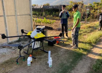 Tecnología de Taiwán mejora eficiencia y rendimiento de cultivos de maíz en Guatemala