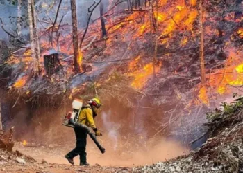 Congreso de Guatemala pide al presidente Arévalo declarar estado de excepción debido a incendios forestales