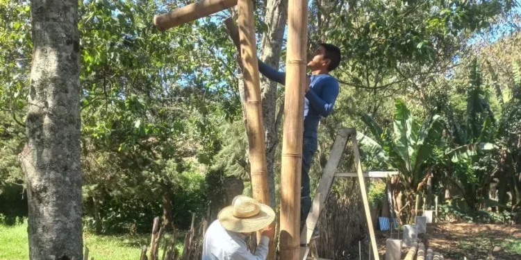 Taiwán promueve utilización de bambú entre comunidades rurales mayas guatemaltecas