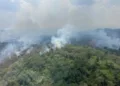 Sur de Belice sufre por incendios forestales desde hace tres semanas