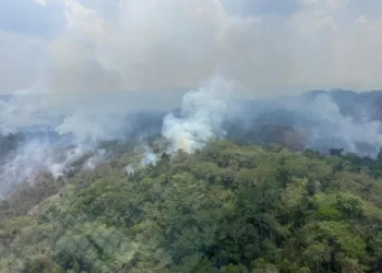 Sur de Belice sufre por incendios forestales desde hace tres semanas