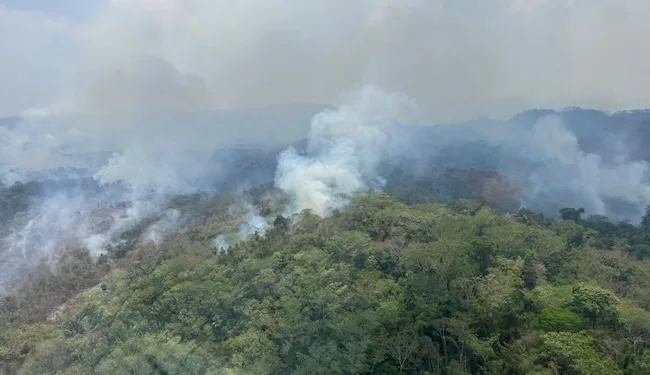 Sur de Belice sufre por incendios forestales desde hace tres semanas