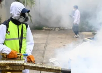 Guatemala y Honduras azotados por el dengue