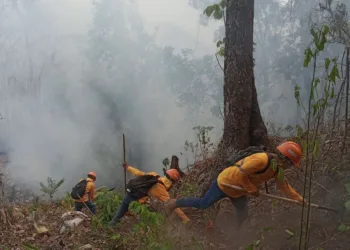 Al menos 2,400 incendios han ocurrido en Guatemala de noviembre a la fecha