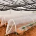 Koica construyó más de 3,700 metros de áreas protegidas para el cultivo de hortalizas en el norte de Centroamérica