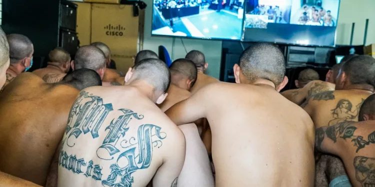 Fiscalía salvadoreña busca juzgar en un solo proceso a más de 1,700 pandilleros