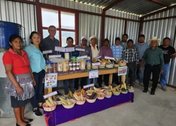 Reino Unido apoya en la adopción de semillas resilientes en Centroamérica